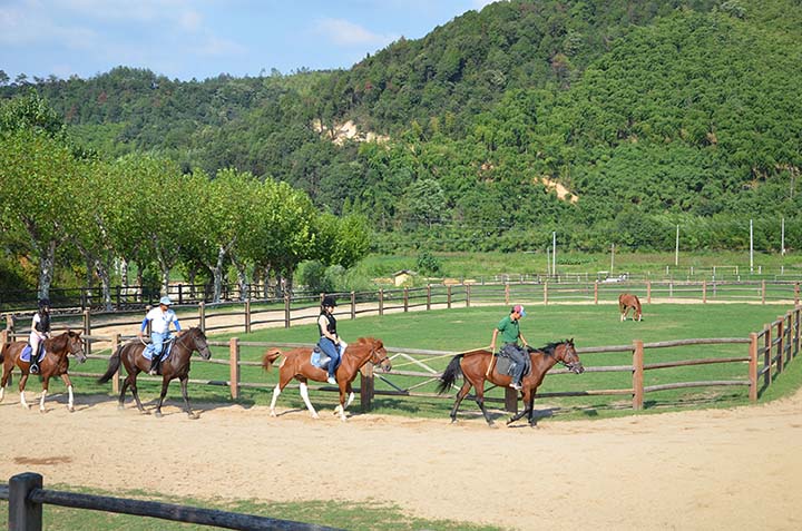 度假地產項目旅游規劃設計院：裸心谷度假村休閑區旅游規劃