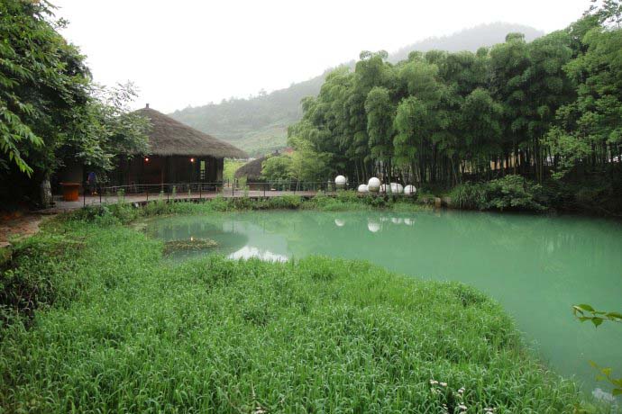 度假地產項目旅游規劃設計院：裸心谷茶園旅游規劃實景